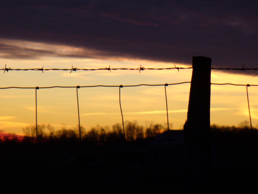 wire-fence-1217164-1024x768