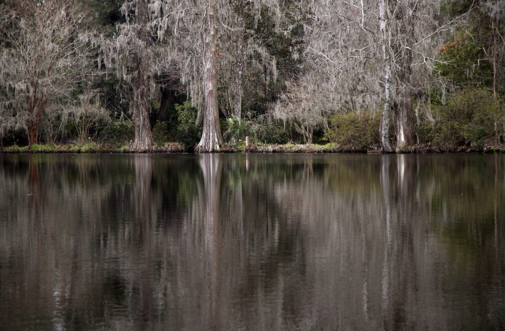 winter-bayou-1331714-1024x672