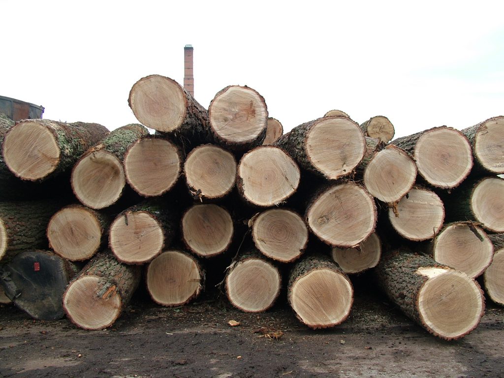 oak-logs-1511548-1-1024x768