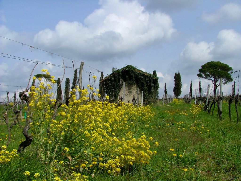 les-landes-mauriac-france-1492015-1024x768