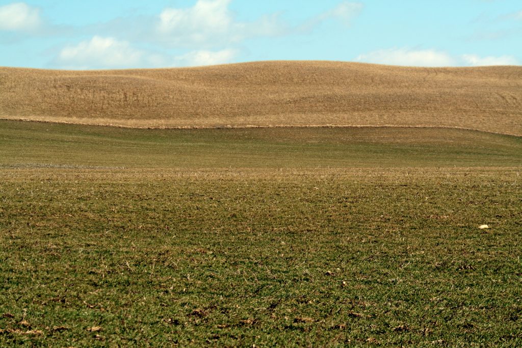 barren-land-1177515-1024x683