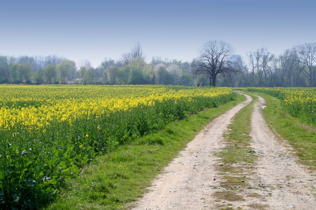 farm-track-1375641-1024x683