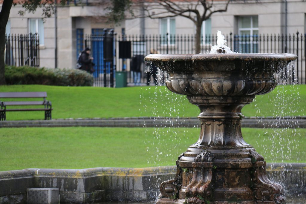 source_grass_lawn_water-1024x683