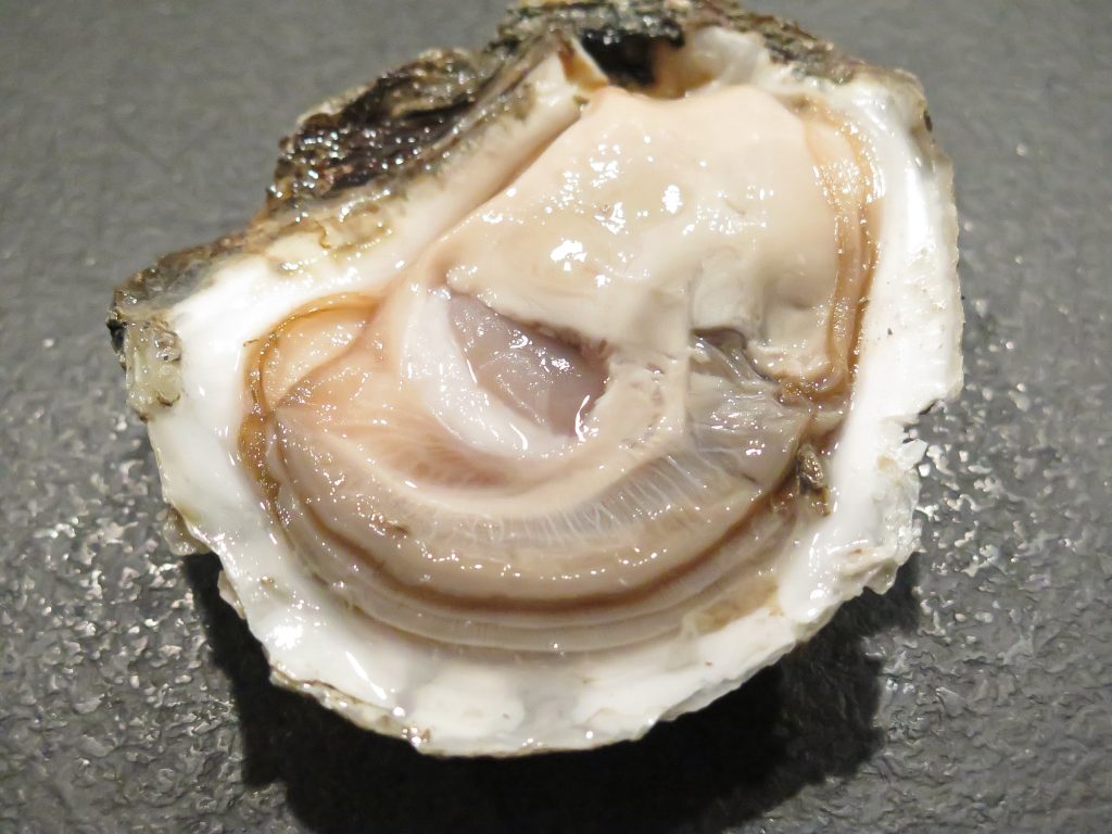 oyster_seafood_danish_1576297-1024x768