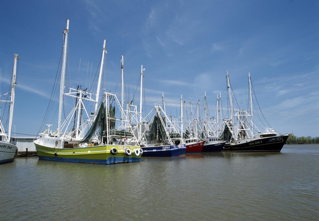 louisiana_shrimp_boats_grand-1024x709