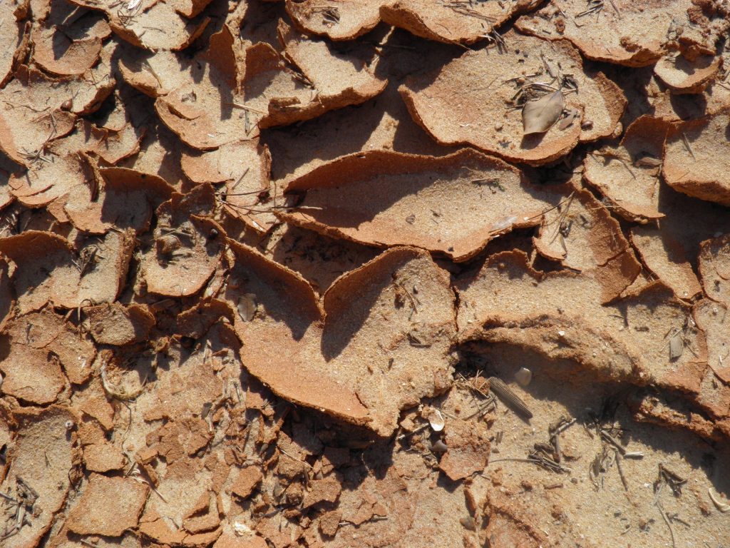 mud_background_parched_dry-1024x768