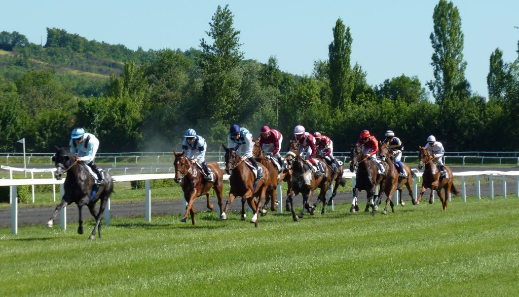 horse_race_hippodrome_horses-1024x587