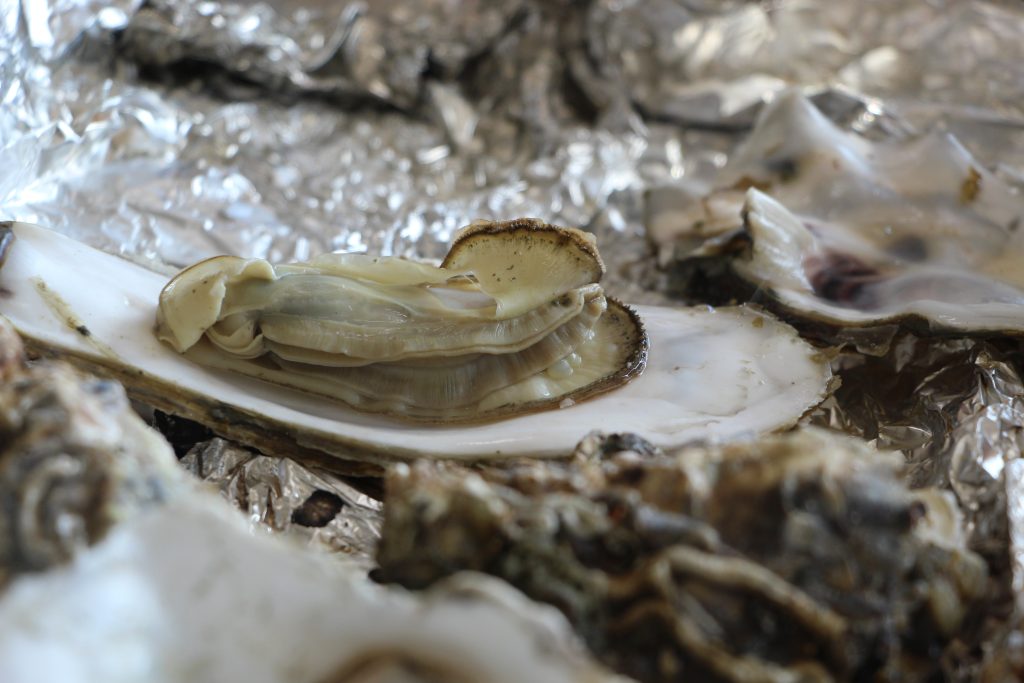 oyster_oyster_roast_seafood-1024x683